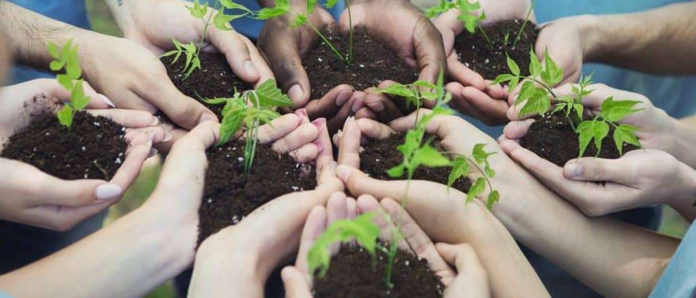 group-of-volunteer-with-sprout-for-growing-1-1024x762-1