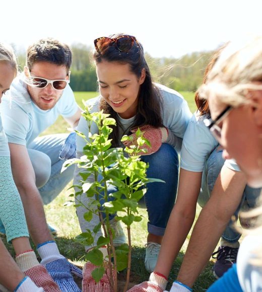 group-of-volunteers-planting-tree-in-park-r21046ibzi24gj5s2msna1x2lzjbsjkc6fqk96k6nc